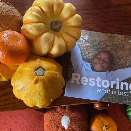 Picture of autumn fruit and veg with a leaflet from the Methodist church's World Development and Relief beside it