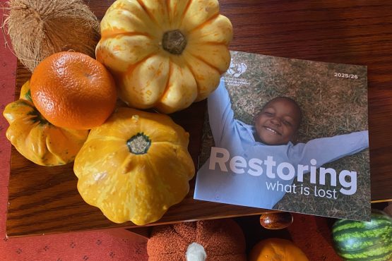 Picture of autumn fruit and veg with a leaflet from the Methodist church's World Development and Relief beside it